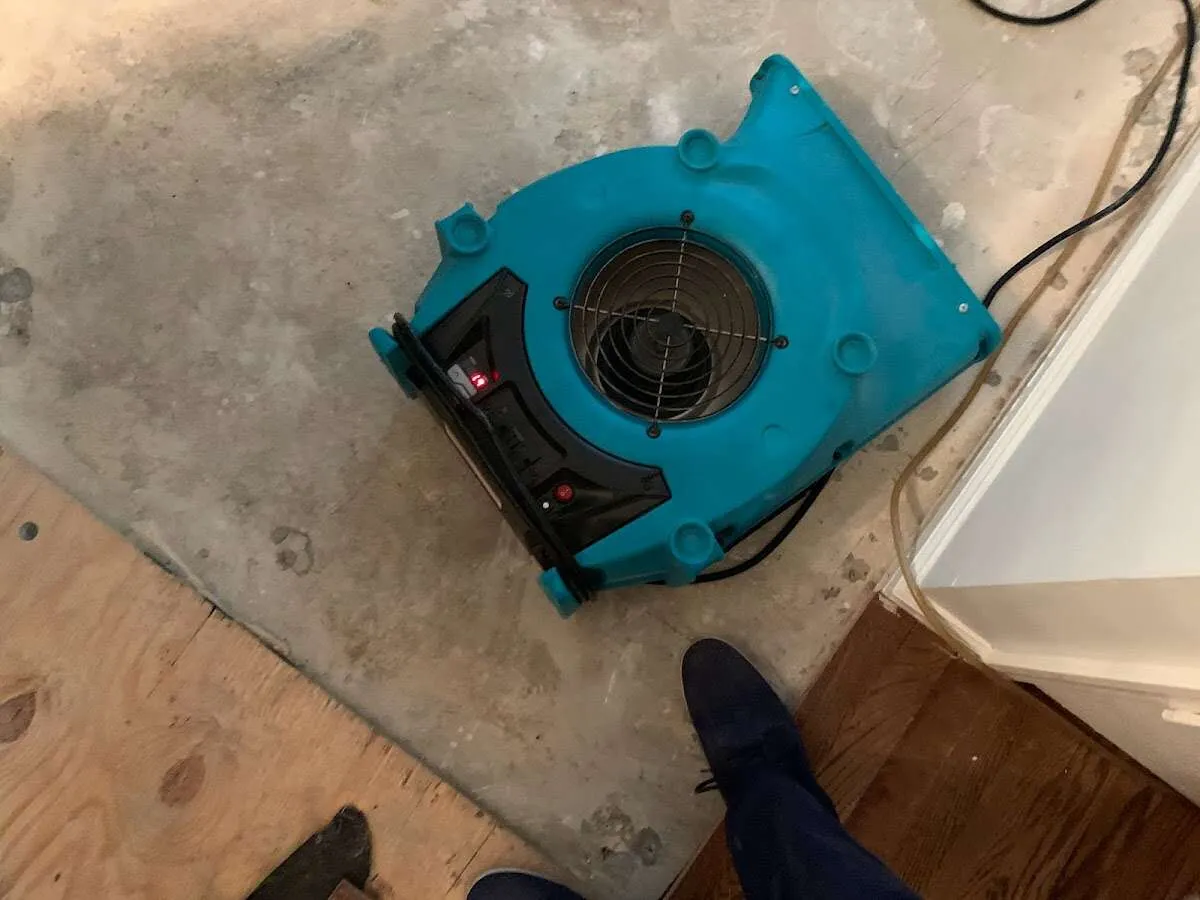 Air mover drying subfloor during Leak Detection & Repair in St. Clair Shores